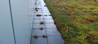 Dachy zielone - Alejka na dachu Dachy zielone - Alejka na dachu