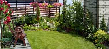 Dachy zielone - Donica na dachu