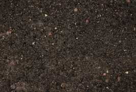 Substrat intensywny trawnikowy SPG I-T na dachy zielone