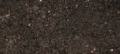 Substrat intensywny trawnikowy SPG I-T na dachy zielone