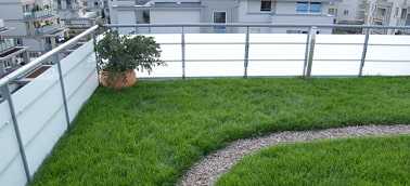 Dachy zielone - Trawnik na dachu