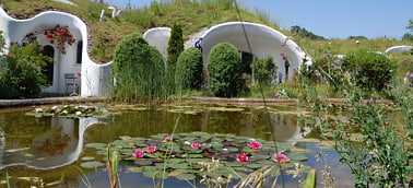 Dachy zielone - Woda na dachu