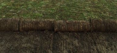 Prekultywowana mata wegetacyjna PMW 20-K