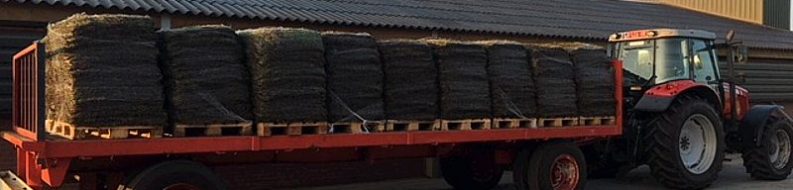 Prekultywowana mata wegetacyjna PMW20-K