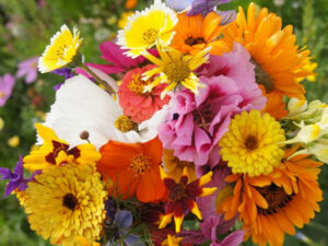 ŁĄKI KWIETNE Z BIOWŁ&Oacute;KNINY EASYGREEN&reg;